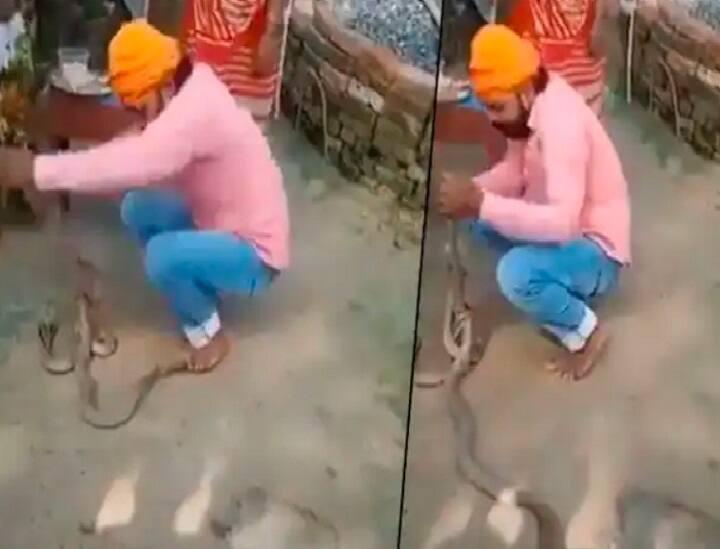 Man tries to tie rakhi to snakes on Raksha Bandhan, dies after it bites him; watch video பாம்புக்கு ராக்கி கட்டிய பாம்பாட்டி பரிதாப பலி: சோகத்தில் முடிந்த ரக்‌ஷாபந்தன்!