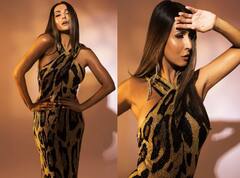 Malaika Arora ने एनिमल प्रिंट ड्रेस पहनकर नए फोटोशूट में बरपाया कहर, देखिए तस्वीरें