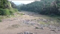 બનાસકાંઠાઃ વરસાદ ખેંચાતા ખેડૂતો મુકાયા મુશ્કેલીમાં, શું કહ્યું ખેડૂતોએ?,જુઓ ગુજરાતી ન્યૂઝ