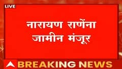 Narayan Rane यांना जामीन देताना कोर्ट काय म्हणालं? कोर्टाच्या काय अटी होत्या?
