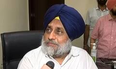 DSGMC ਚੋਣਾਂ ‘ਚ ਸ਼੍ਰੋਮਣੀ ਅਕਾਲੀ ਦਲ(ਬਾਦਲ) ਦੀ ਜਿੱਤ 'ਤੇ ਬੋਲੇ ਸੁਖਬੀਰ ਬਾਦਲ