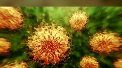 Special Report कोरोनाची तीव्रता कमी होतेय; भारतात कोरोना दीर्घकाळ राहणार, पण धोका कमी! :WHO ABPMajha