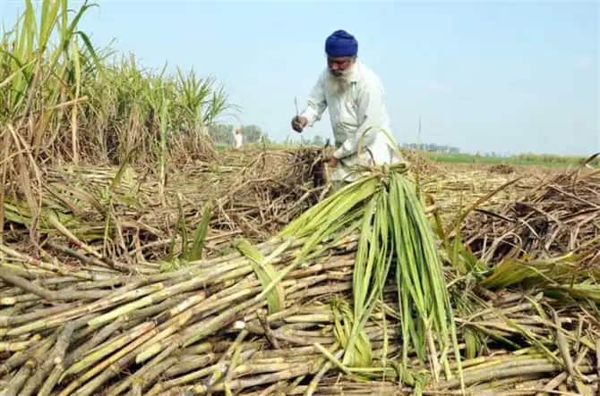 August 25 state level protest by sugarcane farmers postponed ਗੰਨਾ ਕਿਸਾਨਾਂ ਵੱਲੋਂ ਸੂਬਾ ਪੱਧਰੀ ਰੋਸ ਧਰਨਾ ਮੁਲਤਵੀ, ਸਰਕਾਰ ਨੇ ਦਿੱਤਾ ਭਰੋਸਾ