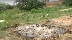 Agra : आगरा में 8 लोगों की मौत का सच क्या ?