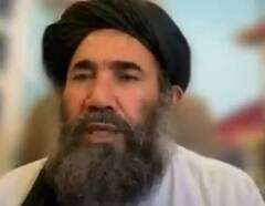 Exclusive: તાલિબાનના સંસ્થાપક સભ્યએ abp ન્યૂઝને કહ્યુ- અફઘાનિસ્તાનમાં ભારતીય સુરક્ષિત રહેશે