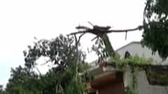 પંચમહાલઃ ઘોઘંબામાં વનવિભાગની બેદરકારીના કારણે મહિલાએ ગુમાવ્યો જીવ, જુઓ ગુજરાતી ન્યૂઝ