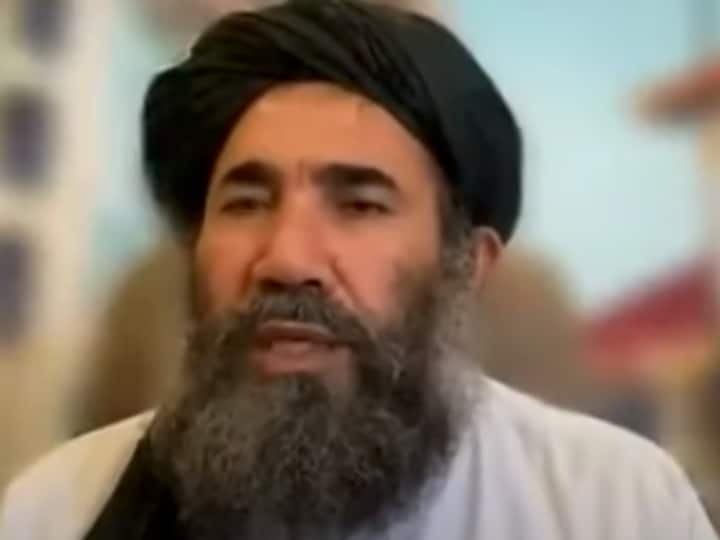 Exclusive Taliban founder member Abdul Salam Zaeef told abp news Indians will be safe in Afghanistan Exclusive: Taliban के संस्थापक सदस्य Abdul Salam Zaeef ने abp न्यूज़ से कहा- Afganistan में भारतीय सुरक्षित रहेंगे