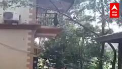 Kankavali : परिवहनमंत्री Anil Parab यांच्या घरावर हल्ला,सुदैवान घरात कुणी नसल्यानं अनर्थ टळला