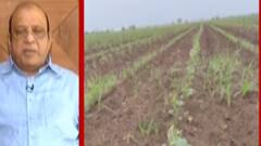 ભરુચઃ દહેજની કેમિકલ ફેક્ટરીમાંથી પ્રદુષણ ફેલાતા ખેતી થઈ બરબાદ, ખેડૂતોમાં આક્રોશ