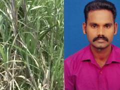 கரும்பு நிலுவைத் தொகையை 6 மாதமாக வழங்காததால் விவசாயி தூக்கிட்டு தற்கொலை...!