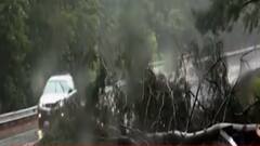 અસ્મિતા વિશેષ: હેનરીનો હાહાકાર