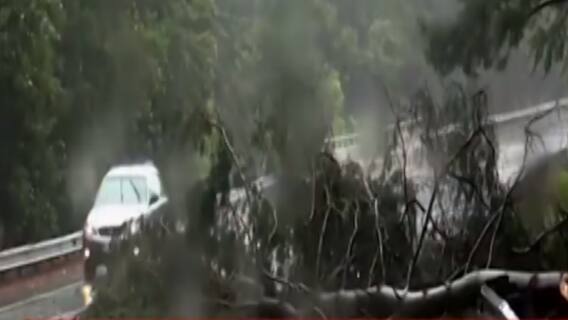 અસ્મિતા વિશેષ: હેનરીનો હાહાકાર