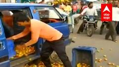 शेतकऱ्यांच्या कष्टाचा लाल चिखल; टोमॅटो उत्पादकांची व्यवहारातून सुटका कधी? : स्पेशल रिपोर्ट