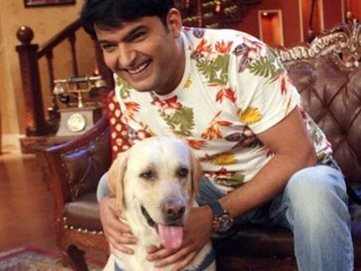 कॉमेडियन से एक्टर बने कपिल शर्मा काफी समय पहले एक पेट डॉग को अपने घर लाए थे. उनके डॉग का नाम है पेटा. अपने एक इंटरव्यू में उन्होंने जनता से अनुरोध किया कि वे अपने कुत्तों को न छोड़ें क्योंकि वे भी परिवार का हिस्सा हैं. साथ ही कई बार अपने शो में वो लोगों को अपने पालतू जानवरों से प्यार करने और उनकी देखभाल करने की याद दिलाते हैं.