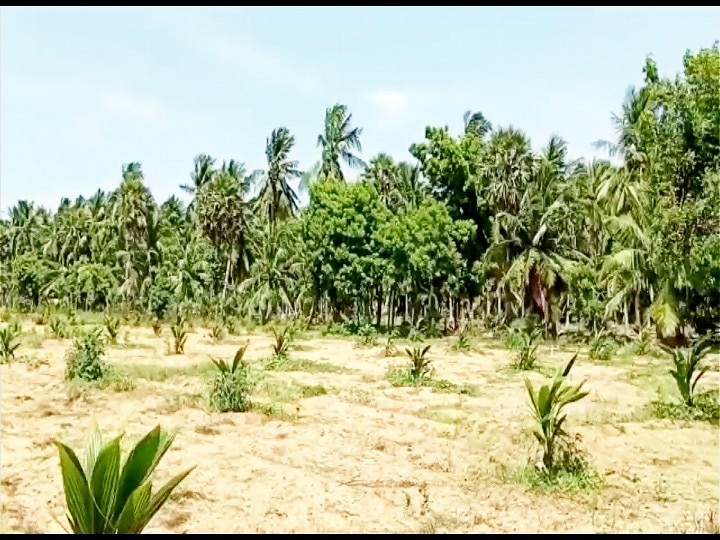 சாதி மறுப்பு திருமணம் செய்தவர்களை பத்தாண்டுகளுக்கும் மேலாக ஊரை விட்டு ஒதுக்கி வைத்த அவலம்...!