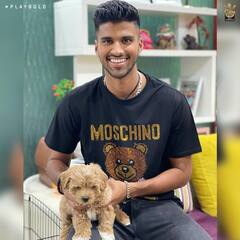 International Dog Day: తమ ఫేవరెట్ పెట్ డాగ్స్‌తో క్రికెటర్లు... ఫొటోలు షేర్ చేసిన IPL ఫ్రాంఛైజీలు