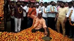 Yeola : सत्तेसाठी भांडणारे शेतकऱ्यांसाठी कधी लढणार, उद्विग्न टोमॅटो शेतकऱ्यांच्या व्यथा 'माझा'वर