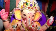 POP मूर्ती आता शोभेच्याच! नागपूर खंडपीठाच्या निर्णयावर मूर्तीकार,व्यावसायिकांच्या काय प्रतिक्रिया?