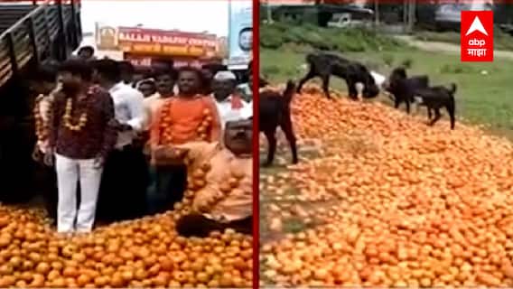 Farmer Protest : राज्यातील Tomato शेतकरी संतप्त, टोमॅटो रस्त्यावर फेकत आंदोलन ABP Majha