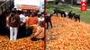 Farmer Protest : राज्यातील Tomato शेतकरी संतप्त, टोमॅटो रस्त्यावर फेकत आंदोलन ABP Majha