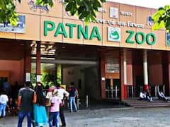 Bihar Unlock Guidelines: आज से बिहार में सबकुछ अनलॉक, दिन भर ले सकेंगे Patna Zoo का आनंद, पढ़ें पूरी खबर