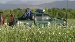 India increases drugs monitoring after Taliban takeover