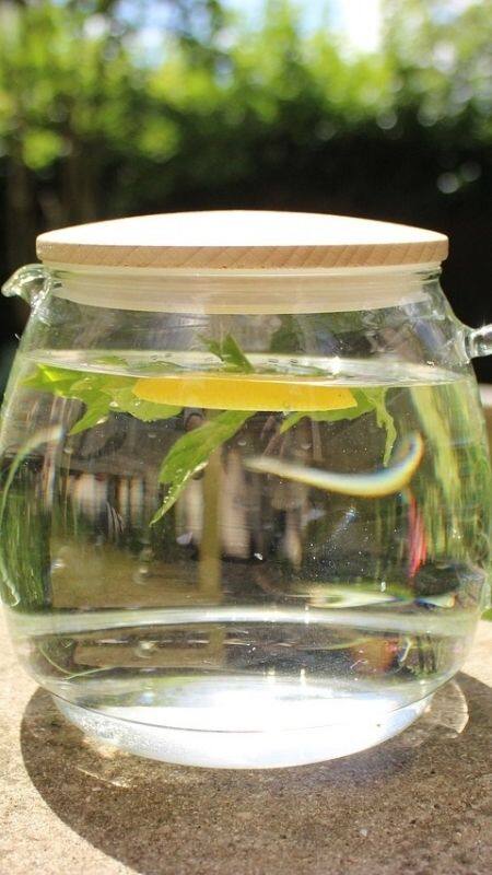 সকালে ঘুম থেকে উঠে এক গ্লাস গরম জলের উপকারিতা