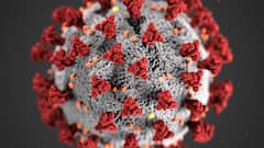 Andhra Pradesh Coronavirus: పాఠశాలల్లో కరోనా భయం.. ప్రకాశం జిల్లాలో 28 మంది విద్యార్థులకు సోకిన మహమ్మారి