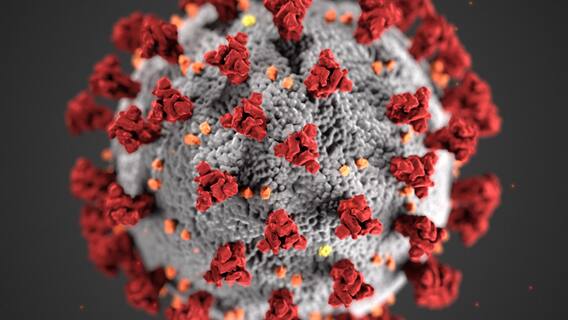 Corona Update : कोरोना संकटात चिंता वाढवणारी बातमी; अमेरिकेत लहान मुलांना कोरोनाचा वाढता संसर्ग