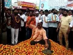 भाव नसल्याने शेतकऱ्यांना कष्टाने पिकवलेले टोमॅटो रस्त्यावर फेकण्याची वेळ