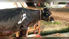 Majha Gaon Majha Jilha : विसर्जनस्थळी अॅन्टीजन चाचणी बंधनकारक : माझं गाव माझा जिल्हा : ABPMajha