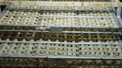 ਗ੍ਰੈਜੂਏਸ਼ਨ ਦੇ ਵਿਦਿਆਰਥੀ ਨੇ ਹੈਚਰੀ ਫ਼ਾਰਮ 'ਚ ਬਦਲਿਆ ਪਿਤਾ ਪੁਰਖ਼ੀ ਕਾਰੋਬਾਰ, ਇੰਝ ਕਮਾ ਰਿਹਾ ਲੱਖਾਂ ਰੁਪਏ