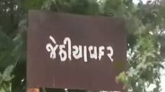 અમરેલી પંથકમાં વરસાદ ખેંચતા દુષ્કાળના ડાકલા, ખેડૂતો બન્યા ચિંતિત
