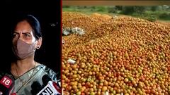 Dr Bharati Pawar : भारतातून टोमॅटो निर्यात खुलीच, राज्यानं केंद्राला प्रस्ताव पाठवावा: डॉ भारती पवार