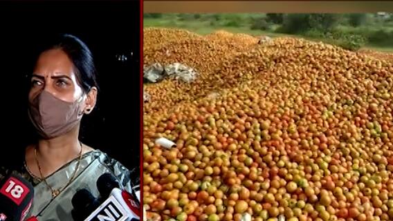 Dr Bharati Pawar : भारतातून टोमॅटो निर्यात खुलीच, राज्यानं केंद्राला प्रस्ताव पाठवावा: डॉ भारती पवार