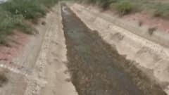 ઉત્તર ગુજરાતમાં વરસાદ ખેંચાતા ખેડૂતો દયનીય સ્થિતિમાં, જુઓ ગુજરાતી ન્યૂઝ