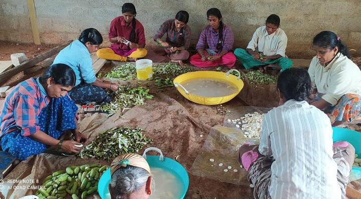 eshram.gov.in या पोर्टलवर जाऊन कामगारांना आपली सर्व माहिती भरावी लागेल. सोबत आपल्या आधारचा आणि बँक खात्याचा तपशील द्यावा लागेल.