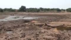 રાજ્યમાં અપૂરતા વરસાદ અંગે રાજ્ય સરકાર આવી એક્શનમાં, કેવું કર્યું પ્લાનિંગ?