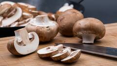 Mushrooms Cooking Tips : বাড়িতে মাশরুম রান্নার জন্য যে বিষয়গুলি মাথায় রাখা দরকার