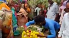 ભરુચઃ કાનમ પ્રદેશમાં કેમિકલની અસરને કારણે કપાસના પાકને ભારે નુકસાન, ખેડૂતોમાં રોષ