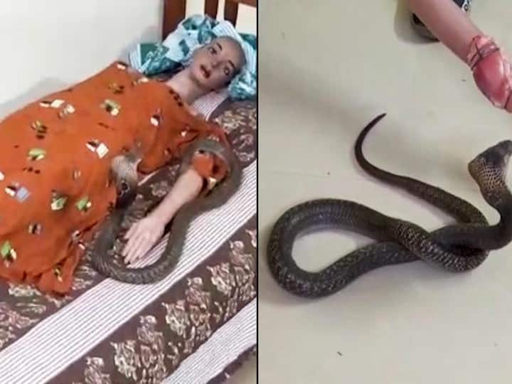 Police investigating murder case using toy body, real snake in Kerala திரில்லர் படங்களை மிஞ்சும் பரபரப்பு... பொம்மை உடல், நிஜ பாம்பை வைத்து கொலை வழக்கு விசாரணை!