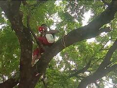 उन्नाव: क्षेत्र की समस्याओं से नाराज होकर पेड़ पर चढ़ा युवक, स्थानीय विधायक और चेयरमैन से की ये मांग