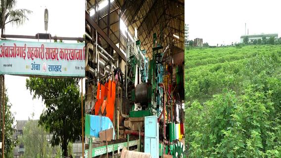 WEB EXCLUSIVE : अंबाजोगाई सहकारी साखर कारखान्याची तक्रार; शेतकरी संघटना नेत्यांची काय प्रतिक्रिया?