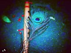 Janmashtami Pooja: जन्माष्टमी पर पूजा में जरूर शामिल करें ये चीजें, भगवान होंगे प्रसन्न तो मिलेगा आर्शीवाद