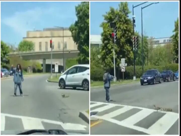 Man helping the ducklings to cross the road video goes viral in twitter கையிலே ஆகாசம் கொண்டுவந்த உன் நேசம்.. வாத்துக்கு உதவிய நெகிழ்ச்சி (வைரல் வீடியோ)