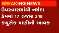 નર્મદા ડેમની જળ સપાટી 115.67 મીટર પર પહોંચી, ડેમમાં 17 હજાર 318 ક્યુસેક પાણીની આવક