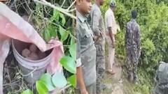 Bangla News: বীরভূমের গ্রামে উদ্ধার ২০টি তাজা বোমা, ঘটনাস্থলে বম্ব ডিসপোজাল স্কোয়াড