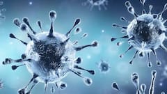 WB Corona Cases: রাজ্যে কমল দৈনিক করোনা সংক্রমণ ও মৃত্যু