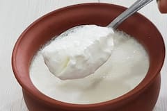 Curd For Weight Loss: દહીં પાચન સુધારવાની સાથે કોલેસ્ટ્રોલને પણ કરે છે નિયંત્રિત, જાણો ખાવાની યોગ્ય રીત