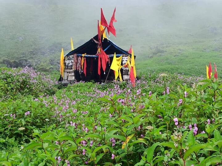 Chardham Yatra 2021: चारधाम यात्रा बंद होने से पर्यटन स्थलों की यात्रा कर रहे सैलानी, प्रकृति का ले रहे हैं आनंद Chardham Yatra 2021 Closed Traveling Tourists enjoying nature in Rudraprayag ann Chardham Yatra 2021: चारधाम यात्रा बंद होने से पर्यटन स्थलों की यात्रा कर रहे सैलानी, प्रकृति का ले रहे हैं आनंद